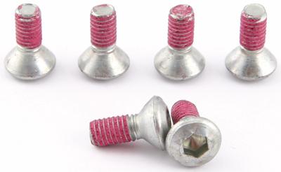 TRW bout screw 6pcs. 11x17mm