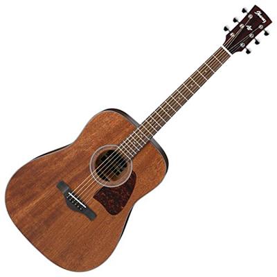 Ibanez AW54-OPN Artwood Open Pore Natural westerngitaar