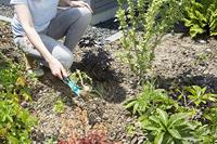 GARDENA Combisystem onkruidsteker - thumbnail