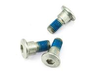 TRW bouten set screw set 3pcs. m8x1,25 - thumbnail