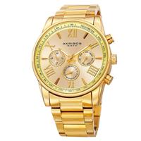 Akribos XXIV Omni | AK736YG - thumbnail