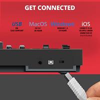 Nektar IMPACT LX49 MIDI toetsenbord 49 toetsen USB Zwart - thumbnail