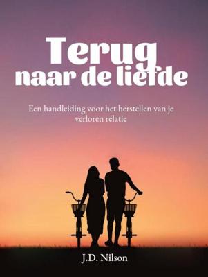 Terug naar de liefde - J.D. Nilson - ebook