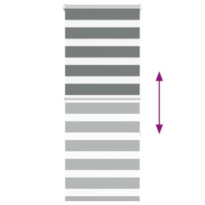 VidaXL Zebra rolgordijn 55x150 cm stofbreedte 50,9 cm donkergrijs VidaXL Zebra rolgordijn 55x150 cm stofbreedte 50,9 cm donkergrijs