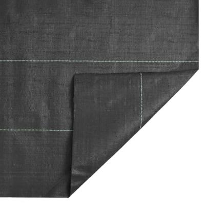 Worteldoek 1x10 m polypropeen zwart - thumbnail