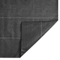 Worteldoek 2x100 m polypropeen zwart - thumbnail