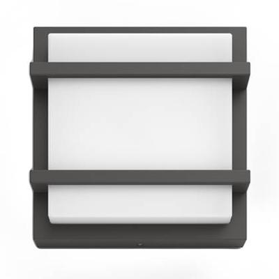 Petronia buitenwandlamp antraciet verlichting Philips - Philips