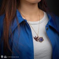 Harry Potter Necklace with Pendant Chocolate Frog Ver. 2 - thumbnail