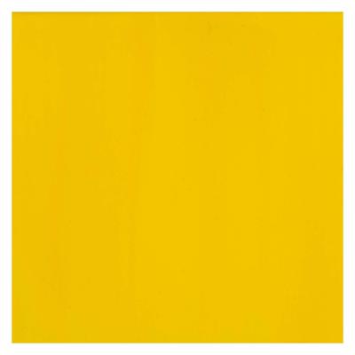 Bruynzeel Ecola plakkaatverf fles 16ml geel 200