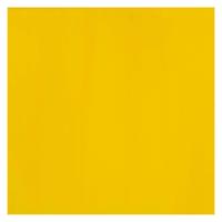 Bruynzeel Ecola plakkaatverf fles 16ml geel 200 - thumbnail