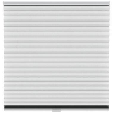 Fenstr plisségordijn Chicago dubbel 45mm lichtdoorlatend - lichtgrijs (20033)