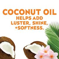 Ogx Ogx Masker Coconut Miracle Oil (168ml) - thumbnail