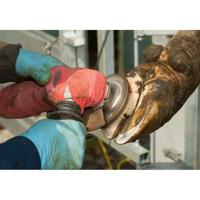 Hoefslijpschijf super gold 115mm - thumbnail