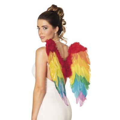 Engelenvleugels regenboog