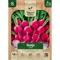 Radijs saxa per 7m - thumbnail