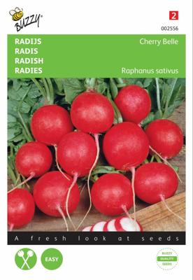 Zaden Radijs Cherry Belle Buzzy - Buzzy