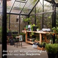 Elho green basics growpot square all-in-1 leaf green 15 - thumbnail