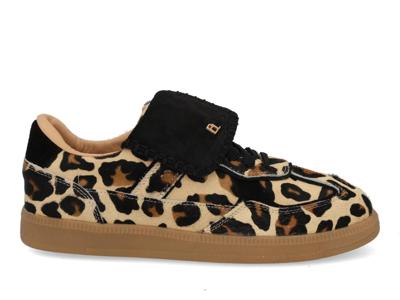 Babouche Ira-97 leopardo black multi bruin maat 39 Babouche Ira-97 leopardo black multi bruin maat 39