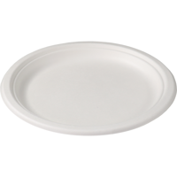 Depa Bord | rond | 1-vaks | bagasse (suikerrietpulp) | Ø23cm | wit | 160 stuks - thumbnail