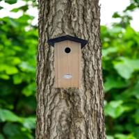 Pimpelmees nestkast 24 cm - thumbnail