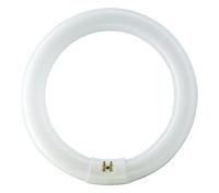 Philips Ronde TL 40W/840 TLE coolwhite Philips 5900617 - thumbnail