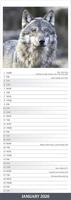 Wolven Kalender 2026 Slimline - thumbnail