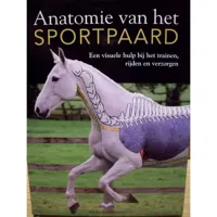 Anatomie van het sportpaard maat:-leeg- - thumbnail