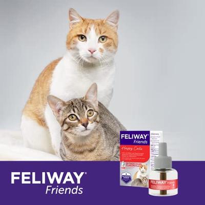 Feliway Friends Verdamper voor de kat 1 Navulling