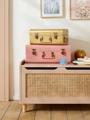 Set van 2 metalen koffers nude