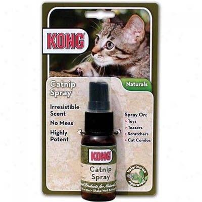 KONG NATURALS CATNIP KATTENKRUID SPRAY 30 ML - thumbnail