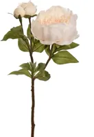 Pure Royal kunsttak pioenroos 48cm vanille - thumbnail