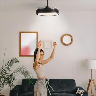 Plafondventilator Universal Blue Zwart