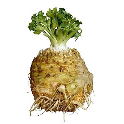 Knolselderij zaden Goliath