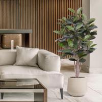 Elastica Robusta kunstplant 170cm groen - thumbnail