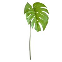 Monstera Blad 65cm groen - thumbnail