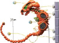 R-Type Figma Action Figure - Dobkeratops - thumbnail