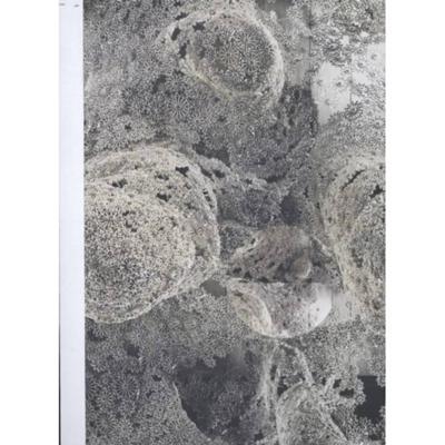 Domestic strangers - Els Hoek, Tanja Smeets - Paperback (9789491182174)