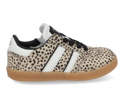 Pinocchio P1500 wit combi Wit maat 28 Pinocchio P1500 wit combi Wit maat 28