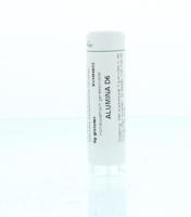 Homeoden Heel Alumina D6 6 Gram - thumbnail