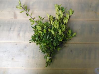 Kerstgroen Hulst (bont of groen) Warentuin Natuurlijk - Warentuin natuurlijk Kerstgroen Hulst (bont of groen) Warentuin Natuurlijk - Warentuin natuurlijk