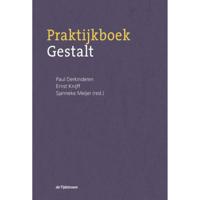 Praktijkboek Gestalt (Paperback) - thumbnail