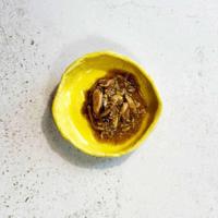 OLLO Cat nr 8 Tuna & Seaweed in broth - nat kattenvoer - 70g - thumbnail