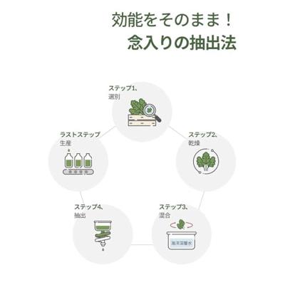 Round Lab Mugwort Calming Cream 80 ml
