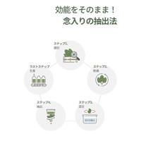 Round Lab Mugwort Calming Cream 80 ml - thumbnail