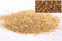 WOLF-Garten 3820031 Premiumgras schaduw & zon LP50 1 stuk(s) - thumbnail