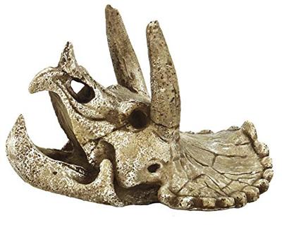 Skull Triceratops M aquaria Superfish - Superfish