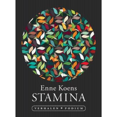 Stamina (Paperback)