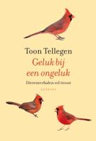 Geluk bij een ongeluk - Toon Tellegen - ebook - thumbnail