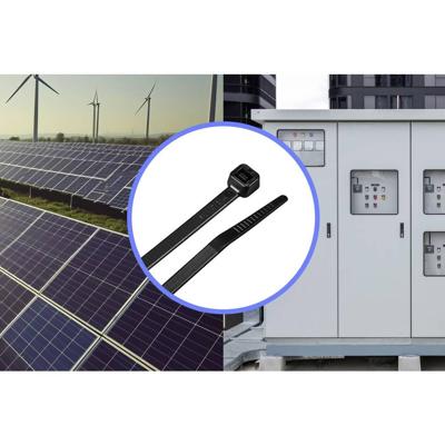 TRU COMPONENTS TC-12523672 Kabelbinder 250 mm 4.8 mm Zwart 100 stuk(s)