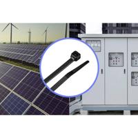 TRU COMPONENTS TC-12523672 Kabelbinder 250 mm 4.8 mm Zwart 100 stuk(s) - thumbnail